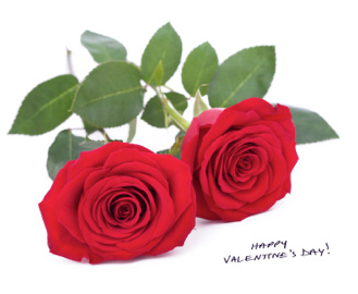 Valentine's Day at the Petit Spa/Jefferson Hotel